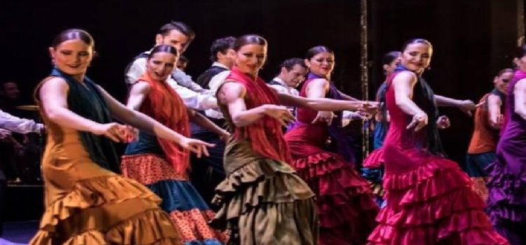Arte Flamenco en los Domingos Culturales