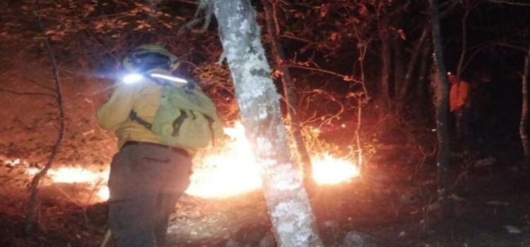 Se implementan acciones para combatir los incendios forestales en Tamaulipas