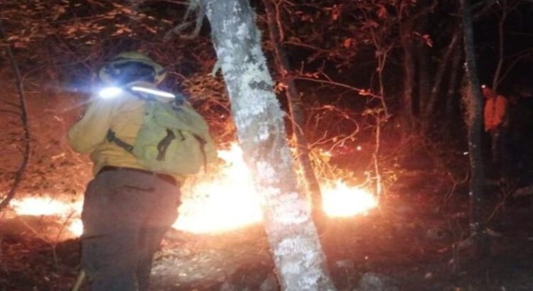 Se implementan acciones para combatir los incendios forestales en Tamaulipas