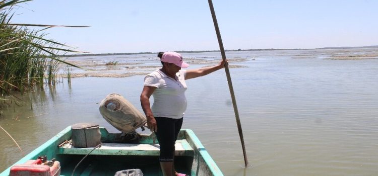 Varias comunidades quedan aisladas en Tamaulipas por los bajos niveles de lagunas