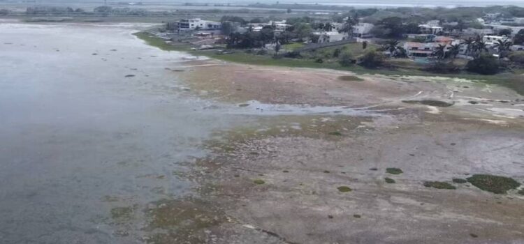 Surge plan emergente de 30 días llevará agua al sur de Tamaulipas