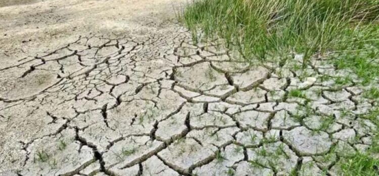 Alerta por sequía: aumentó a 89 % la superficie de México afectada por la falta de lluvia